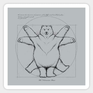 Vitruvian Bear Grey Magnet